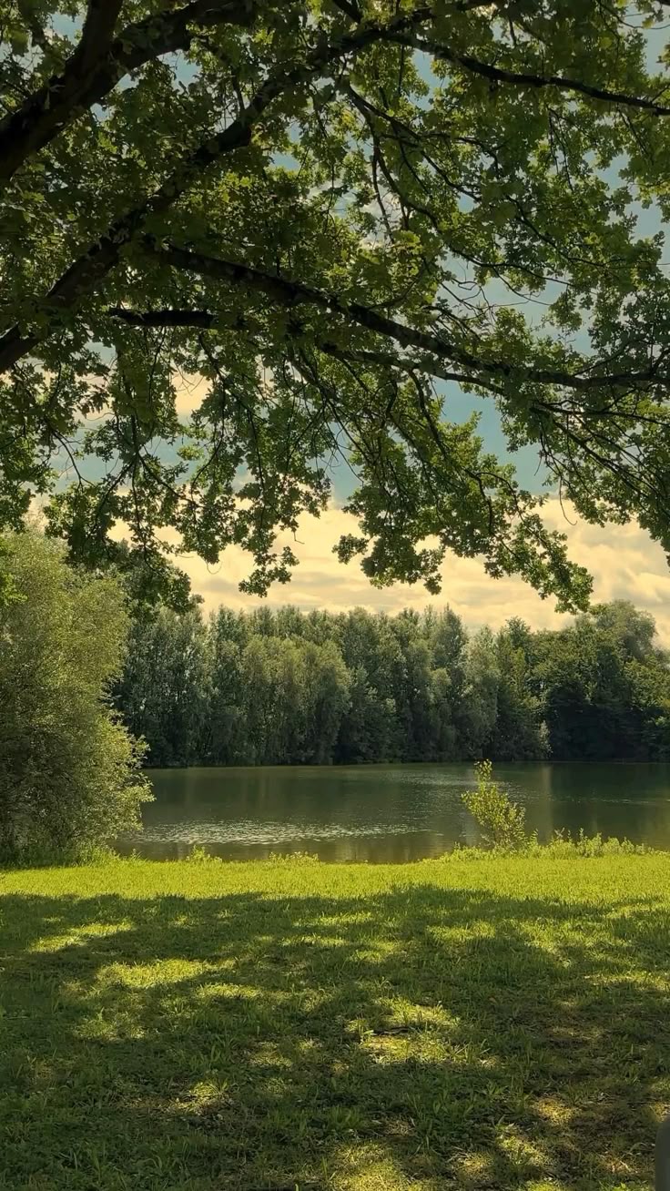 29.06.2025 | Isaiah&nbsp;5